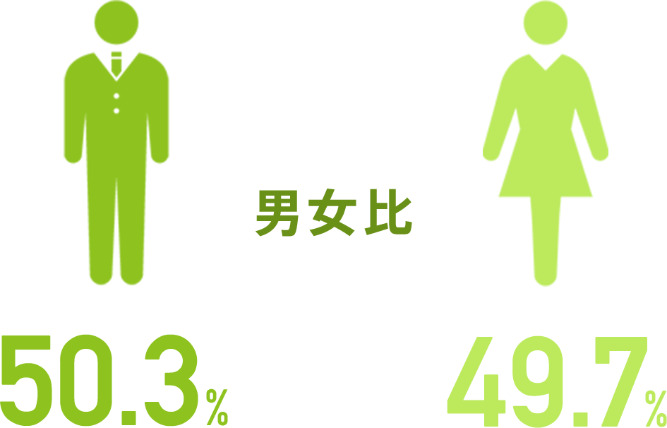男女比 男性：55.3%、女性：44.7%